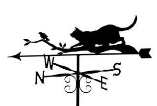 Cat on branch with bird weather vane